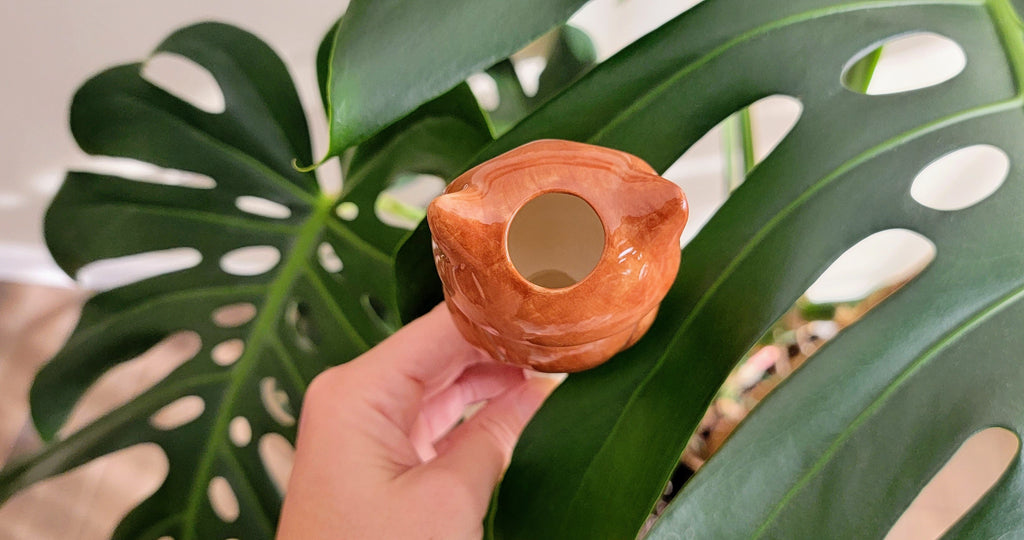 Owl Watering Spike