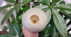 Moon Plant Watering Spike