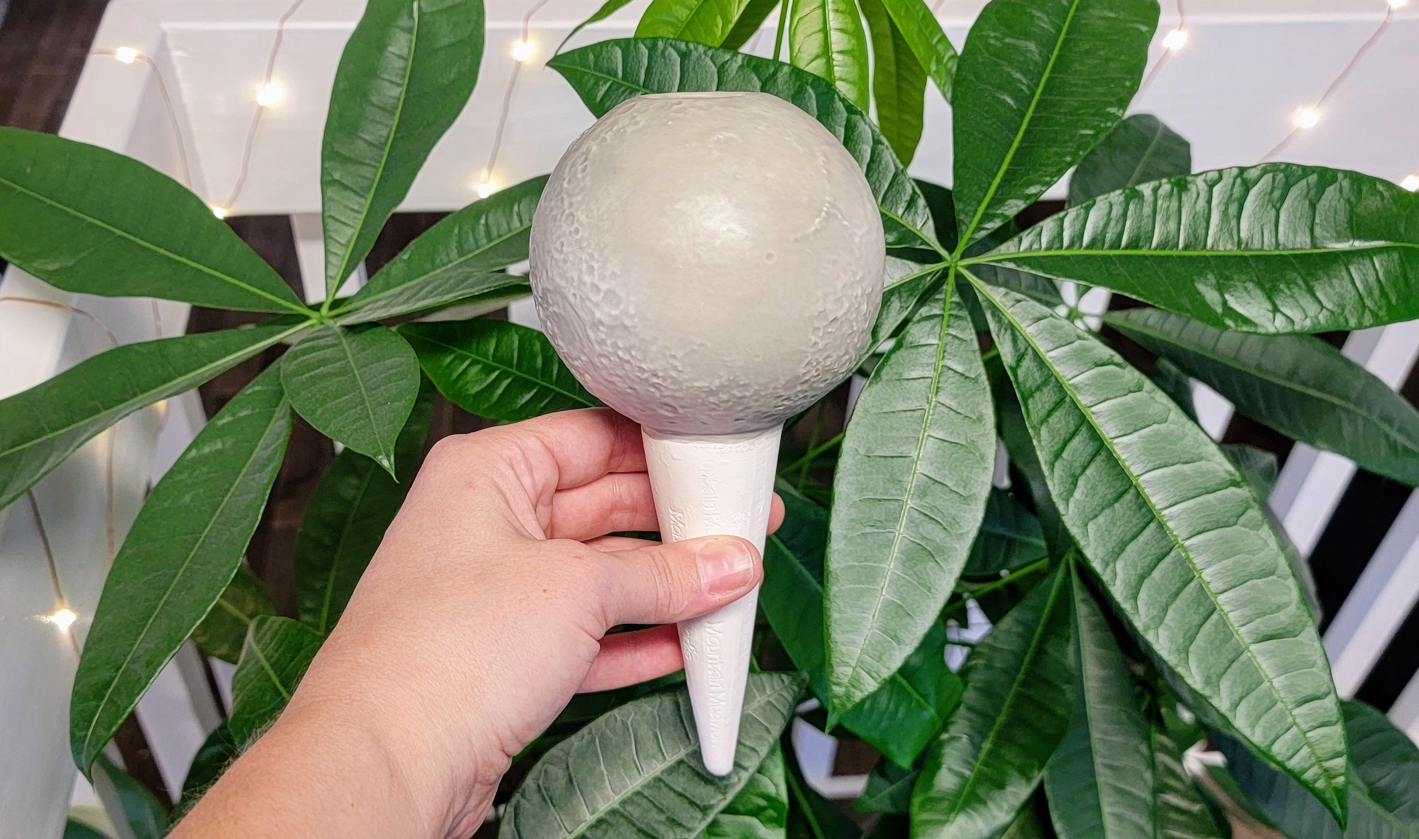 Moon Plant Watering Spike