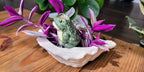 Frog Watering Spike