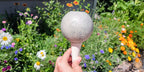 Moon Plant Watering Spike