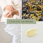 Coastal Seaweed Hand and Body Balm