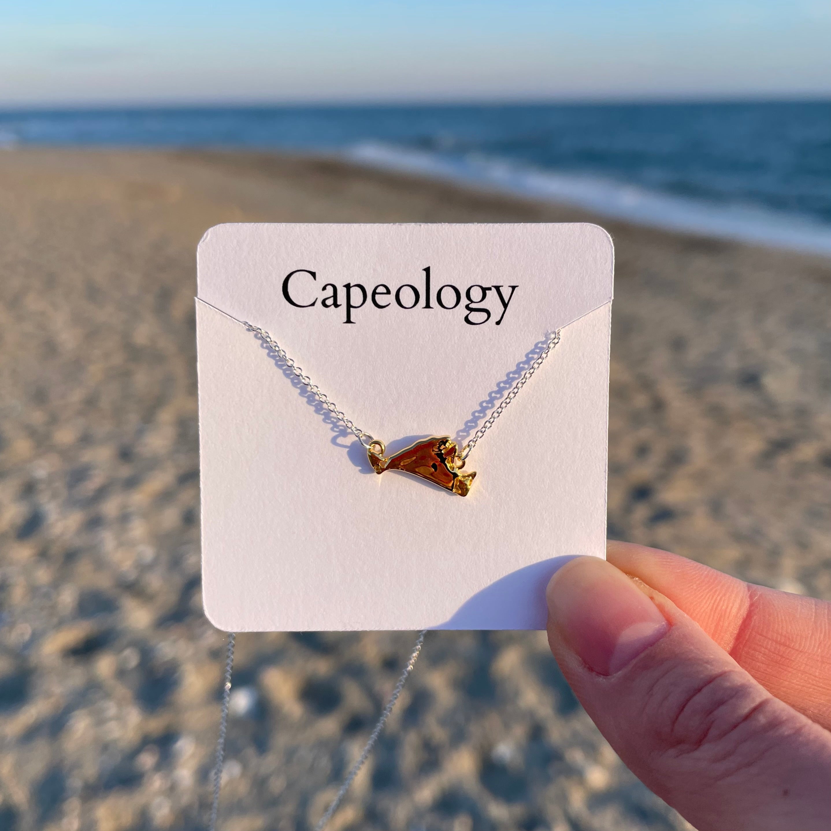 Two-Toned Martha's Vineyard Necklace