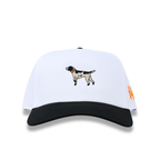 Pointer