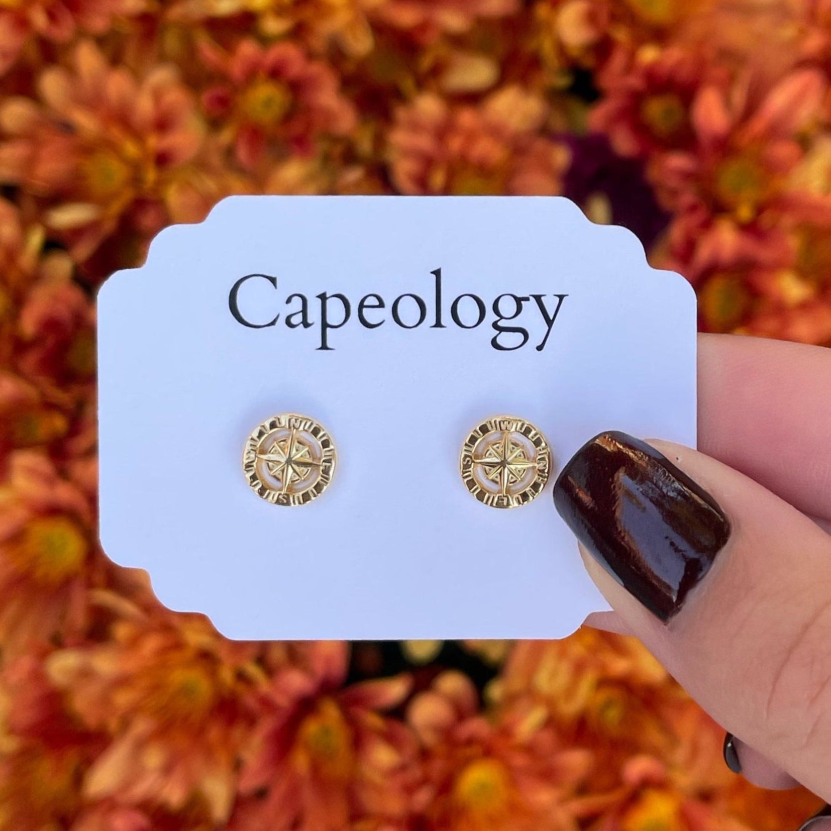 Compass Earrings