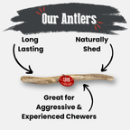 Reindeer Antler Dog Chews | Organic Chews for Dogs