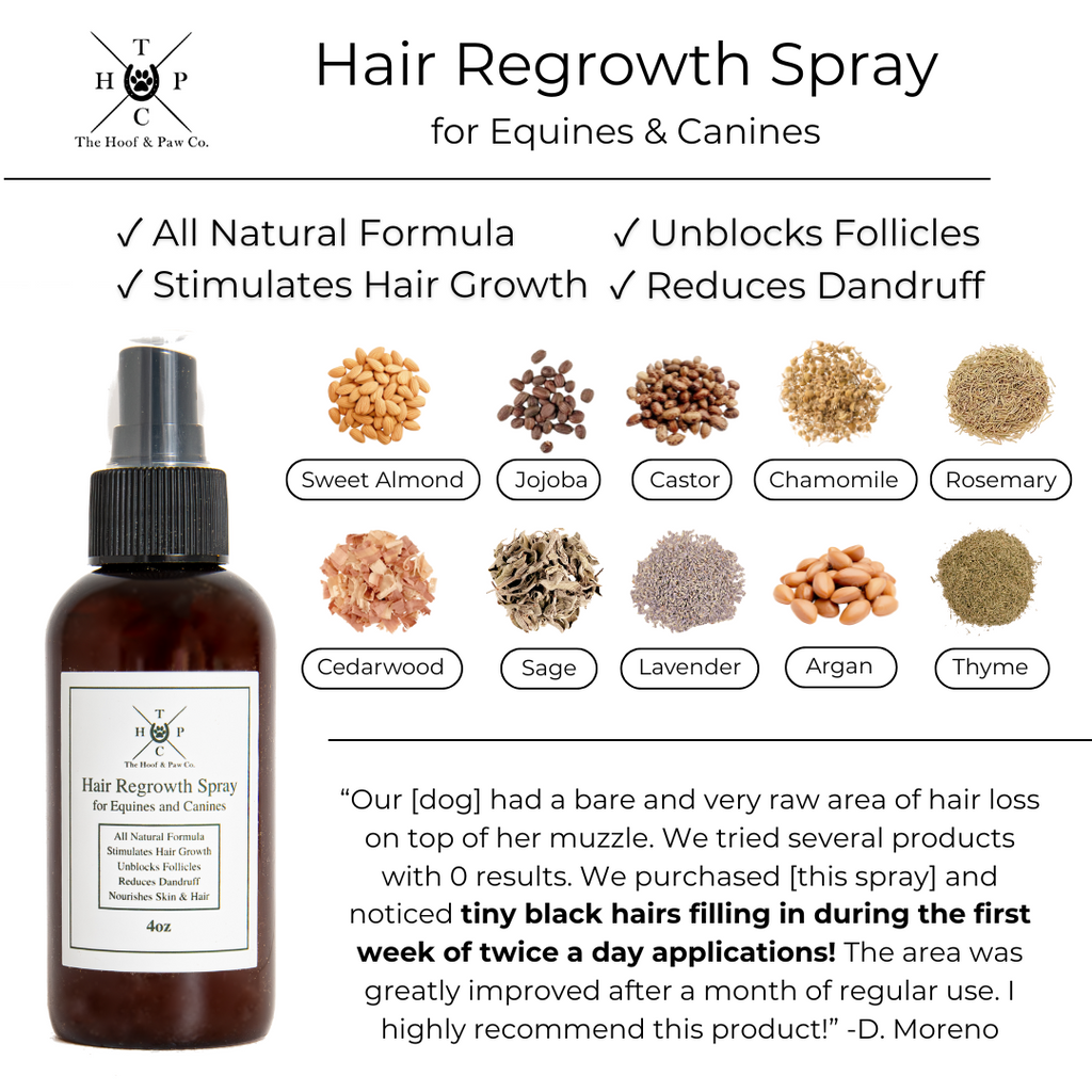 Hair Regrowth Spray for Dogs & Horses