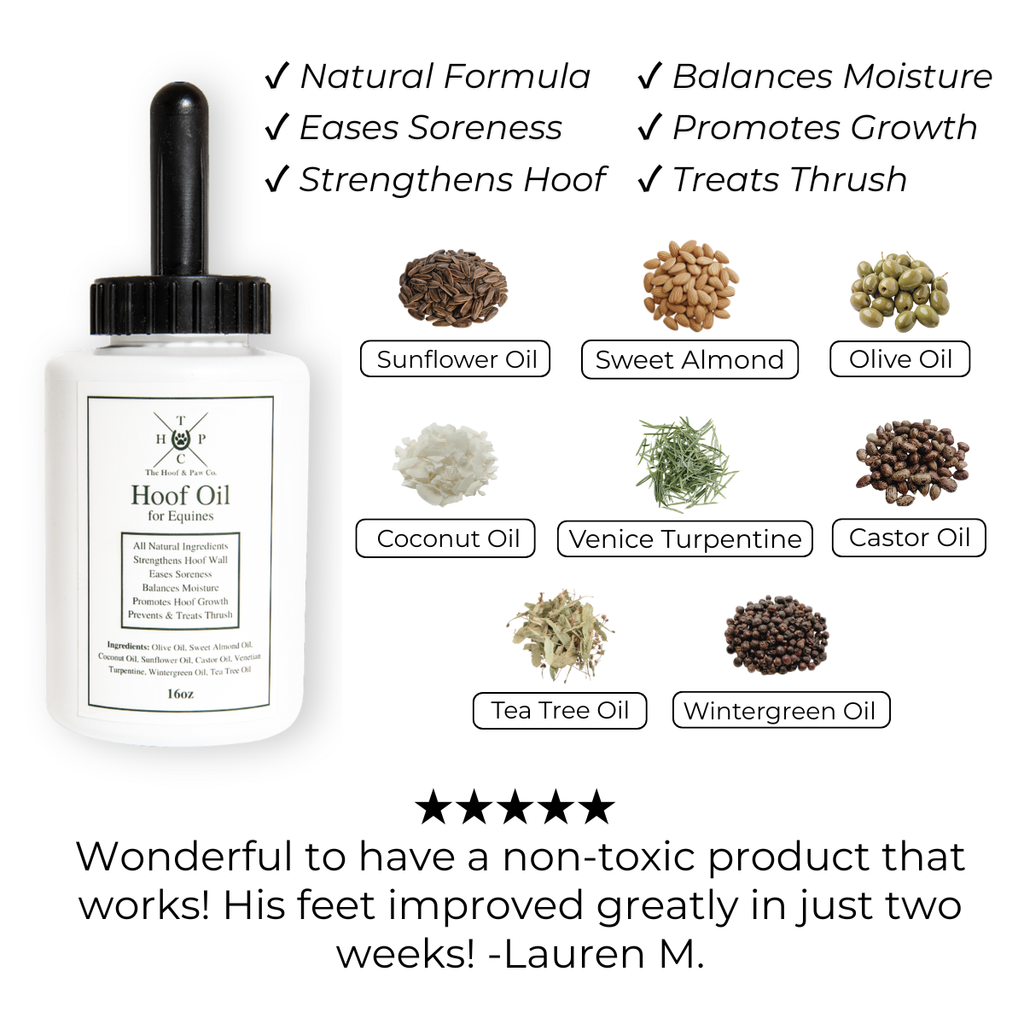 Hoof Oil for Horses - 16oz
