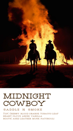 Midnight Cowboy