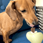 Dog Treat Dispensers
