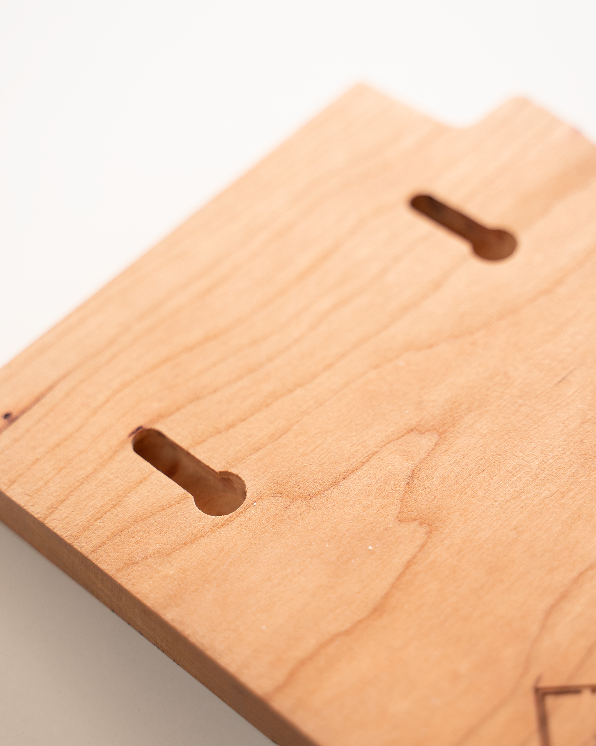 Saguaro National Park 07 Arizona Wall Hanger