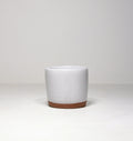 Salt Cellar