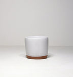 Salt Cellar