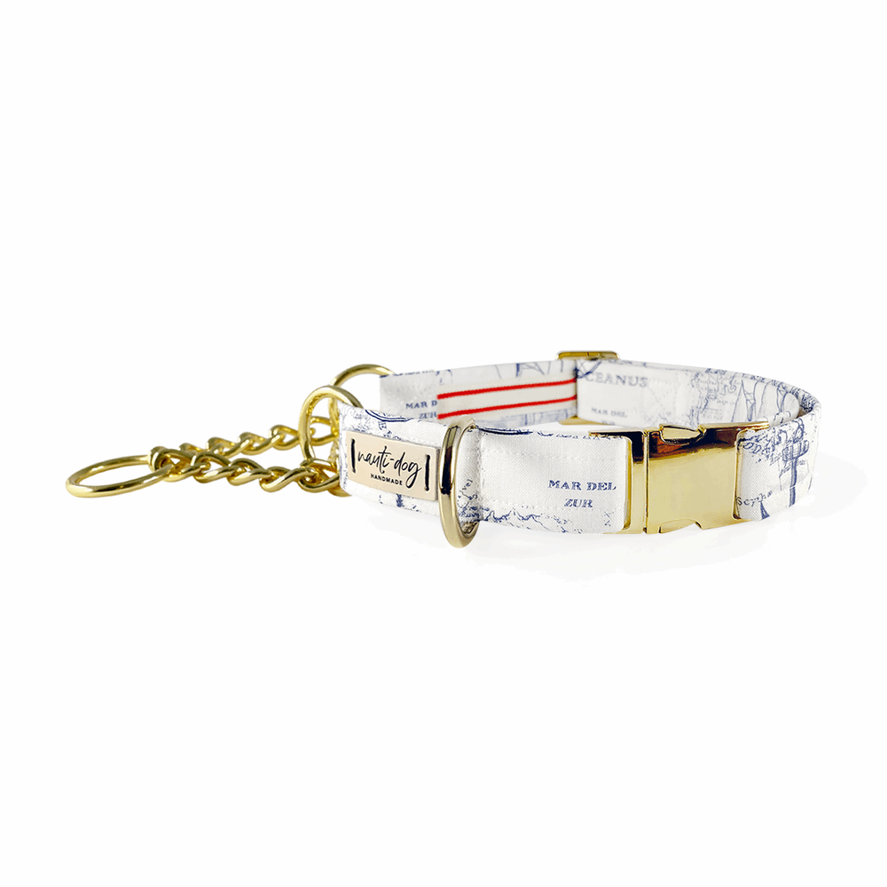 Carta Marina Light Vintage Nautical Toile Buckle & Martingale Dog Collar