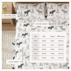 4-Piece Turkish Cotton Flannel Sheet - Stratton Collection