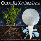 Moon Plant Watering Spike