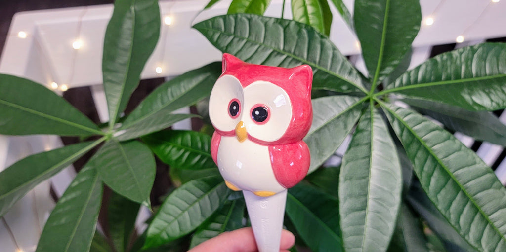 Owl Watering Spike