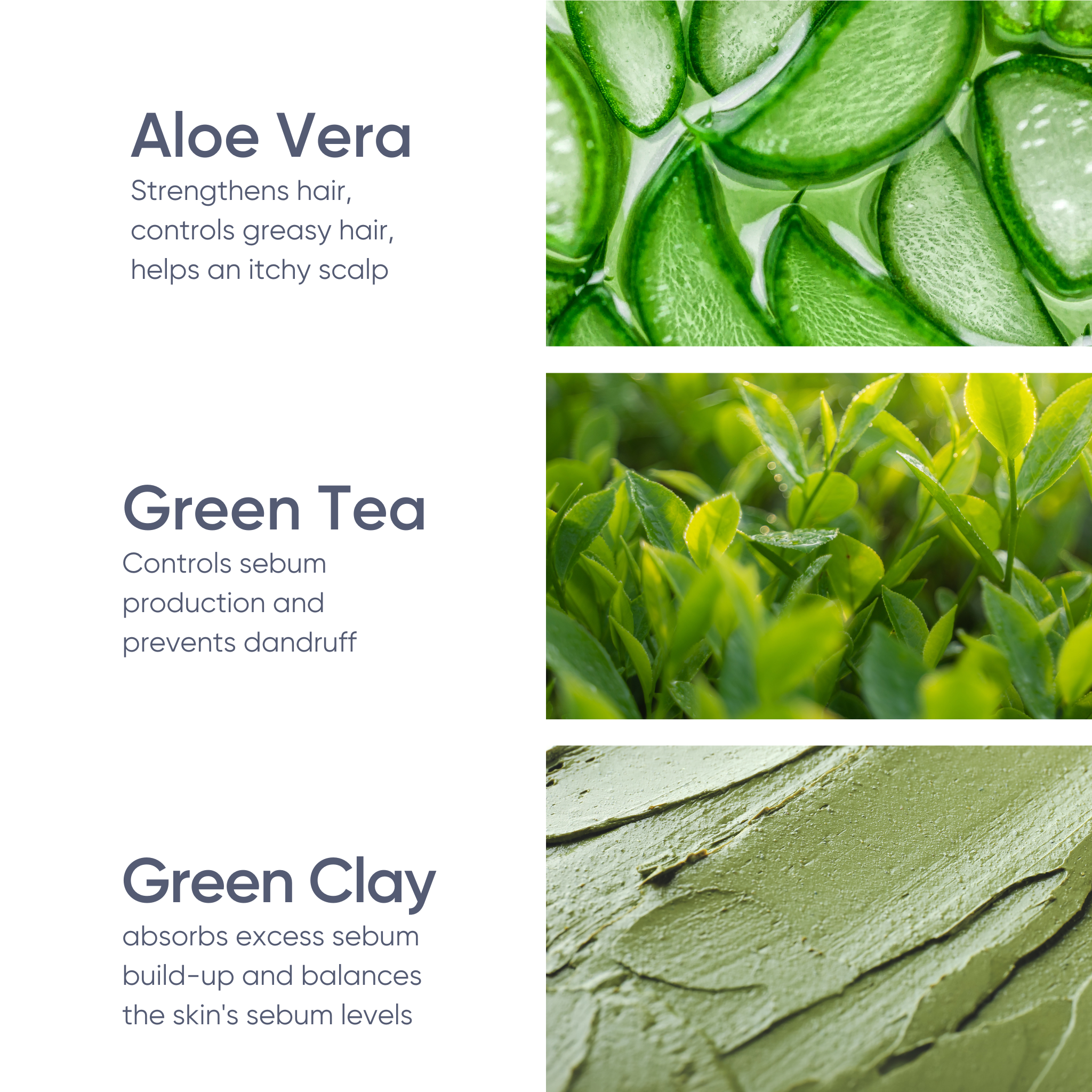 Green Tea & Aloe Clarifying Solid Shampoo