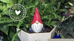 Tall Gnome Watering Spike